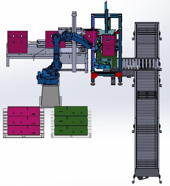 Combination box case erector